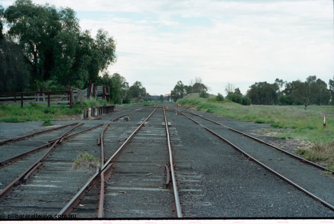 161-31
Tocumwal, broad gauge yard overview looking north from end of platform, Victorian Railways broad gauge cattle yards on the left, with the NSWGR standard gauge cattle yards in the background at left, the tracks in front of the camera are broad gauge, track behind yards is standard gauge, trans-shipping cranes in the distance, standard gauge yard in on the right in the grass.
