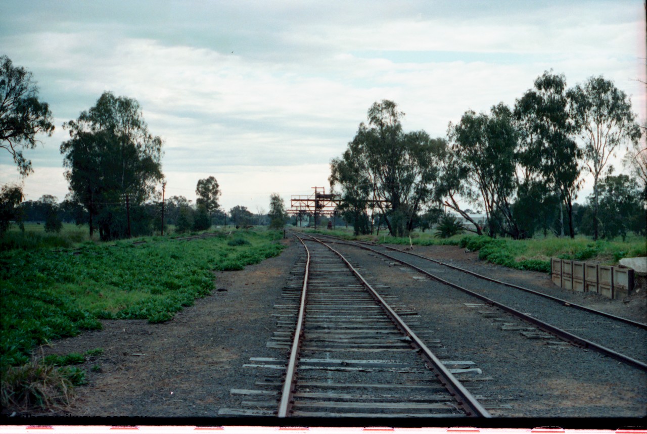 161-33
Tocumwal, yard view of broad gauge tracks running north, NSWGR standard gauge cattle yard track on the far right, trans-shipping cranes in the distance.
