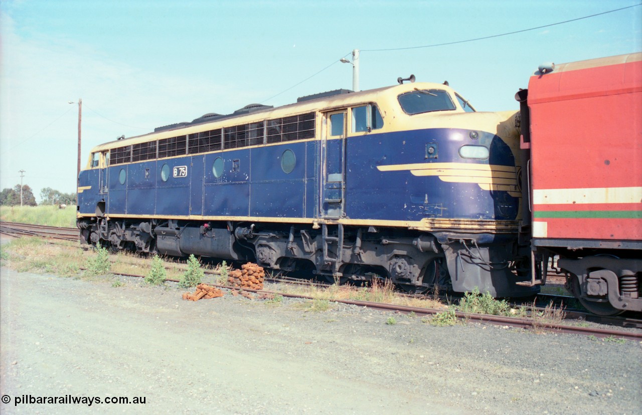 163-11
Seymour loco depot, V/Line broad gauge streamline double ended Bulldog otherwise known as the B class B 75 Clyde Engineering EMD model ML2 serial ML2-16 still in close to original Victorian Railways blue and yellow.
Keywords: B-class;B75;Clyde-Engineering-Granville-NSW;EMD;ML2;ML2-16;bulldog;
