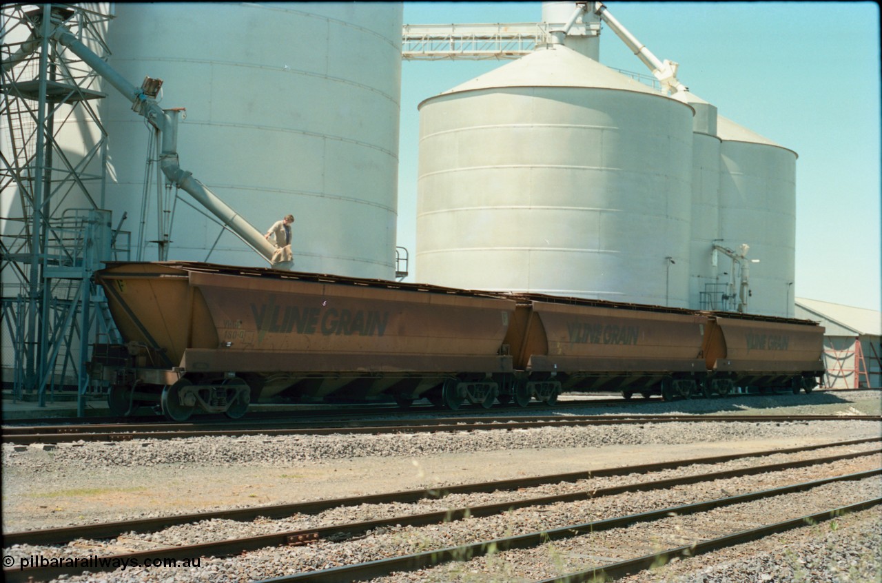 164-19
Murchison East, V/Line Grain VHGF type bogie grain waggon VHGF 180, built as a GJX type by Steelweld Victoria in July 1969 is being loaded, coupled to two other VHGF waggons, from the Ascom silo complex, worker on top of waggon operating loading spout, Murphy silo complex and super phosphate shed on the right
Keywords: VHGF-type;VHGF180;Steelweld-Vic;GJX-type;