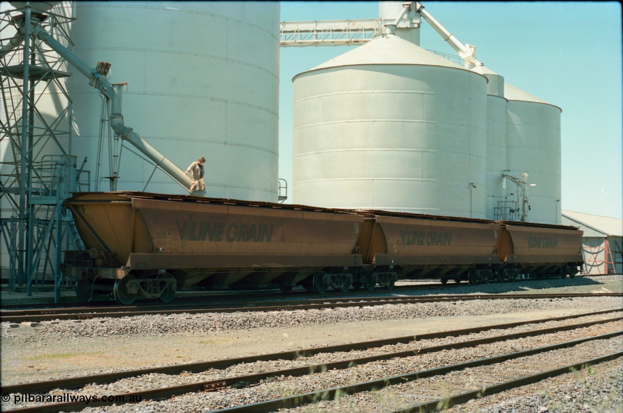 164-20
Murchison East, V/Line Grain VHGF type bogie grain waggon VHGF 180, built as a GJX type by Steelweld Victoria in July 1969 is being loaded, coupled to two other VHGF waggons, from the Ascom silo complex, worker on top of waggon operating loading spout, Murphy silo complex and super phosphate shed on the right.
Keywords: VHGF-type;VHGF180;Steelweld-Vic;GJX-type;