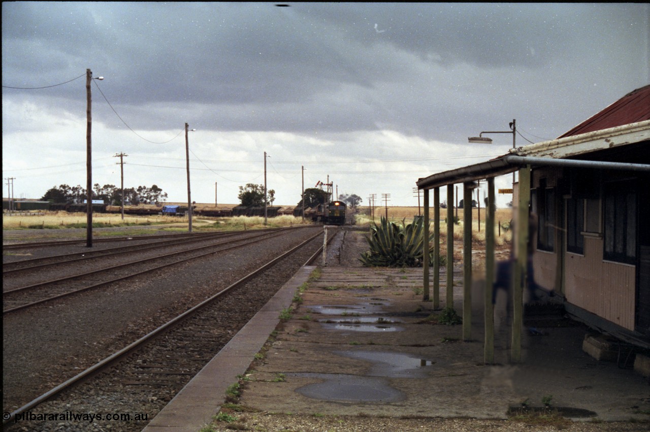 178-12
Maroona, station yard overview looking towards Portland from the platform as V/Line's down Adelaide goods train 9169 swings off the Cressy line behind with the quad combo of a pair of Australian National BL class locomotives BL 27 Clyde Engineering EMD model JT26C-2SS serial 83-1011 and class leader BL 26 'Bob Hawke' serial 83-1010 and V/Line S class S 313 'Alfred Deakin' Clyde Engineering EMD model A7 serial 61-230 and X class X 53 Clyde Engineering EMD model G26C serial 75-800.

