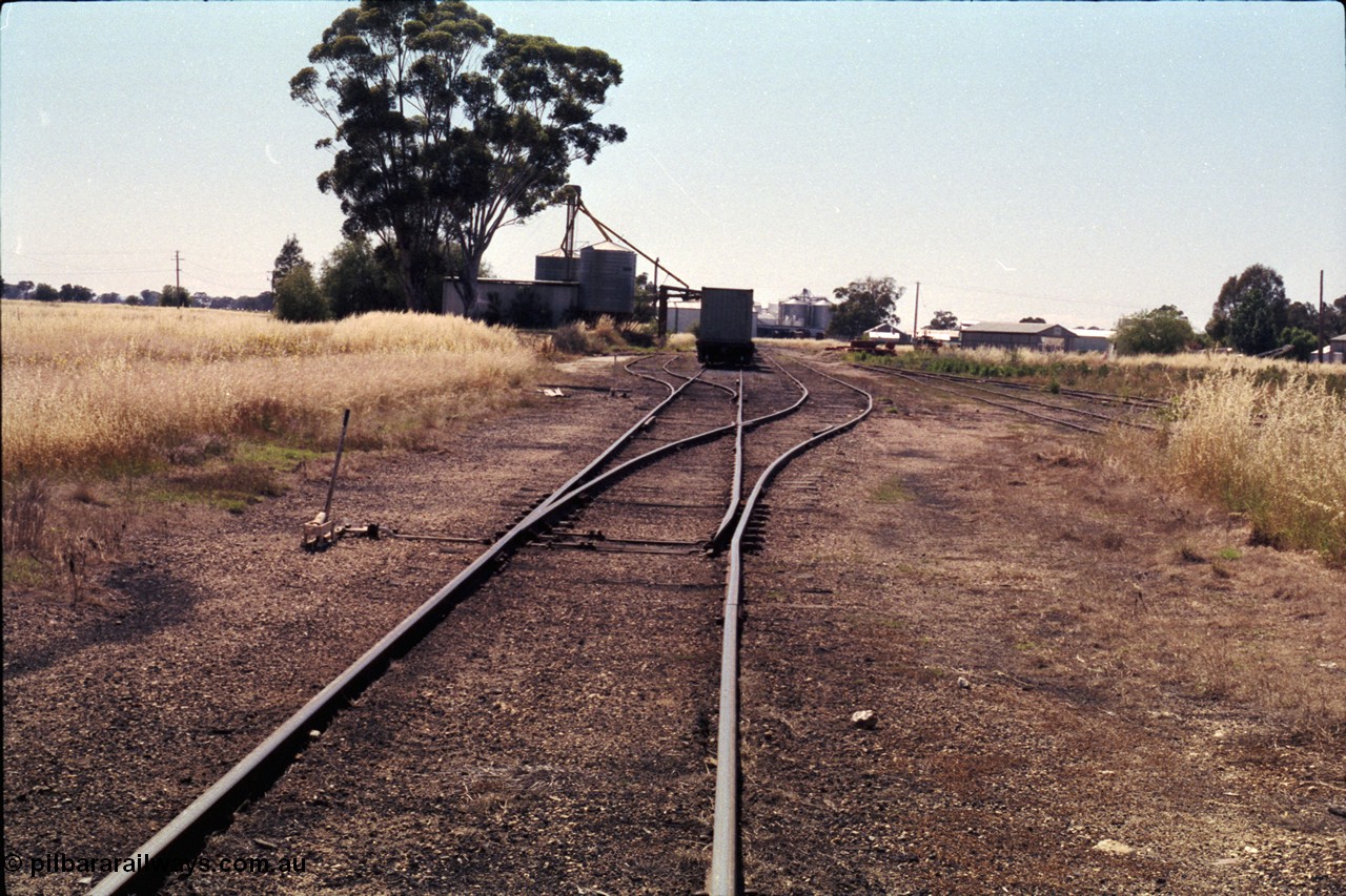 182-11
Wahgunyah station yard overview looking from the terminus towards Rutherglen, points and levers for number 1, 2 and 3 Roads with rake of waggons on No.2 Road, Delarue silo complex on the left at the site of former station building, to the left was the former turntable area, Uncle Tobys plant in the distance, with red gum sleepers and super phosphate shed on the right.
