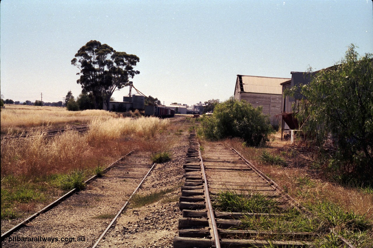 182-12
Wahgunyah, yard view looking towards Rutherglen from the goods sidings, No.2 Road visible on the left and No.4 Road in the middle, elevated siding with eroded track, shed on the right.
