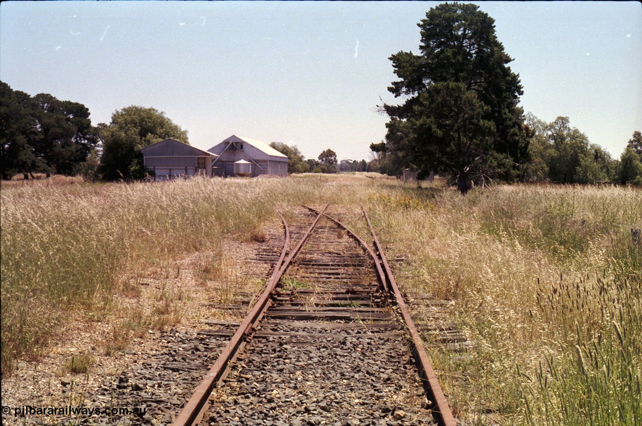 182-16
Murchison, derelict station site looking along mainline with super phosphate shed and horizontal GEB H style grain bunker on the left, gangers shed visible behind tree on the right.
