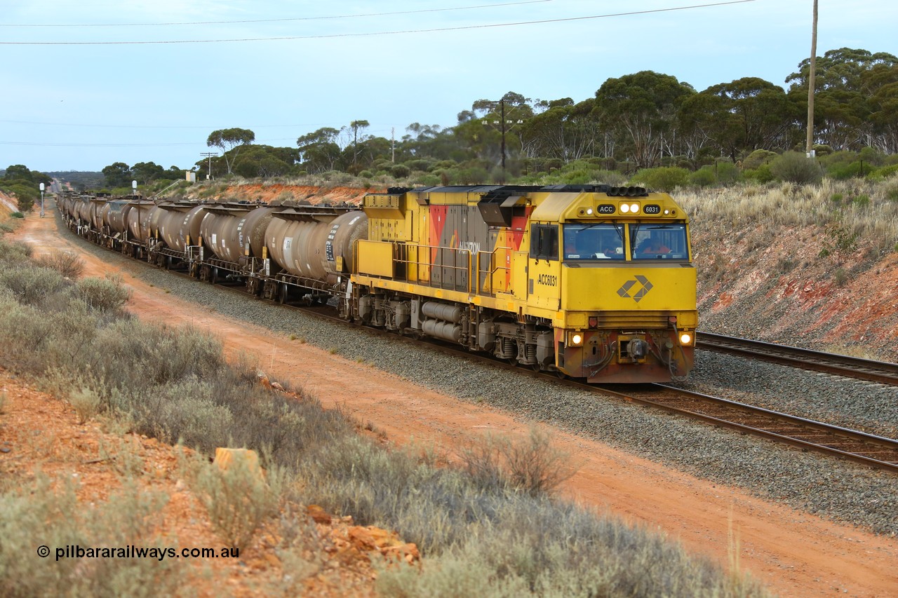 161116 5097
West Kalgoorlie, loaded Shell fuel train 3442 arrives behind UGL Rail built GE model C44ACi unit ACC 6031 serial R-0093-01 / 13-485 following its overnight run from Esperance with 26 waggons for 505 metres and 2165 tonnes.
Keywords: ACC-class;ACC6031;UGL-Rail-NSW;GE;C44ACi;R-0093-01/13-485;