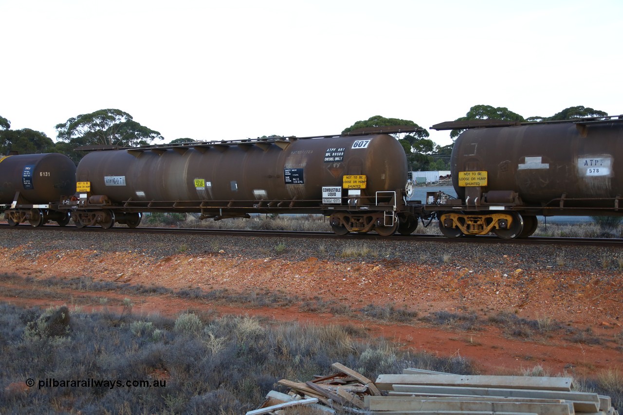 161116 5557
Binduli, empty Shell fuel train 4443, tank waggon ATPF 607, built by Westrail Midland Workshops 1982 for Shell as WJP type, 80.66 kL one compartment one dome, fitted with type F InterLock couplers.
Keywords: ATPF-type;ATPF607;Westrail-Midland-WS;WJP-type;