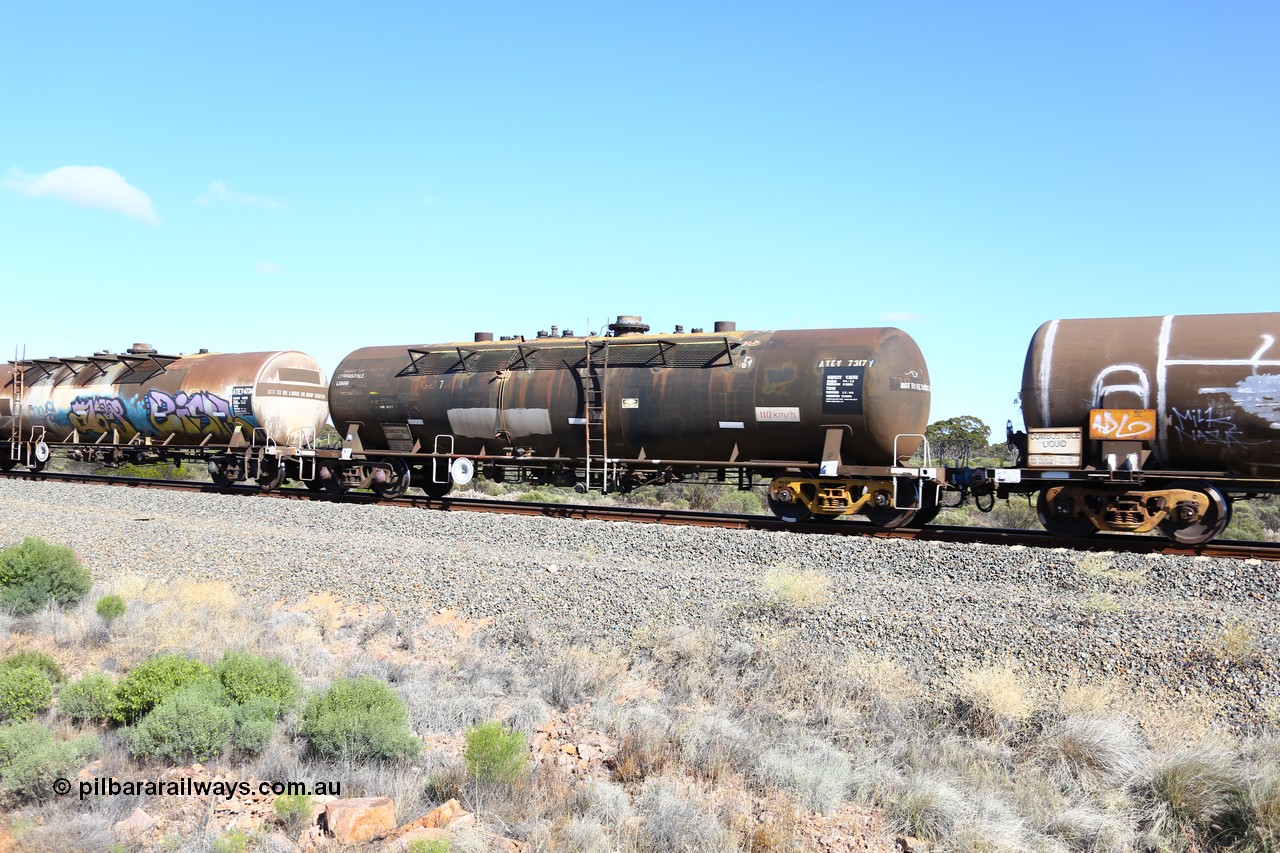 161111 2469
Binduli, Kalgoorlie Freighter train 5025, ATEY 7317 diesel fuel tank waggon in service for BP Oil, former NSW AMPOL NTAF tank, coded WTEY when arrived in WA.
Keywords: ATEY-type;ATEY7317;NTAF-type;WTEY-type;