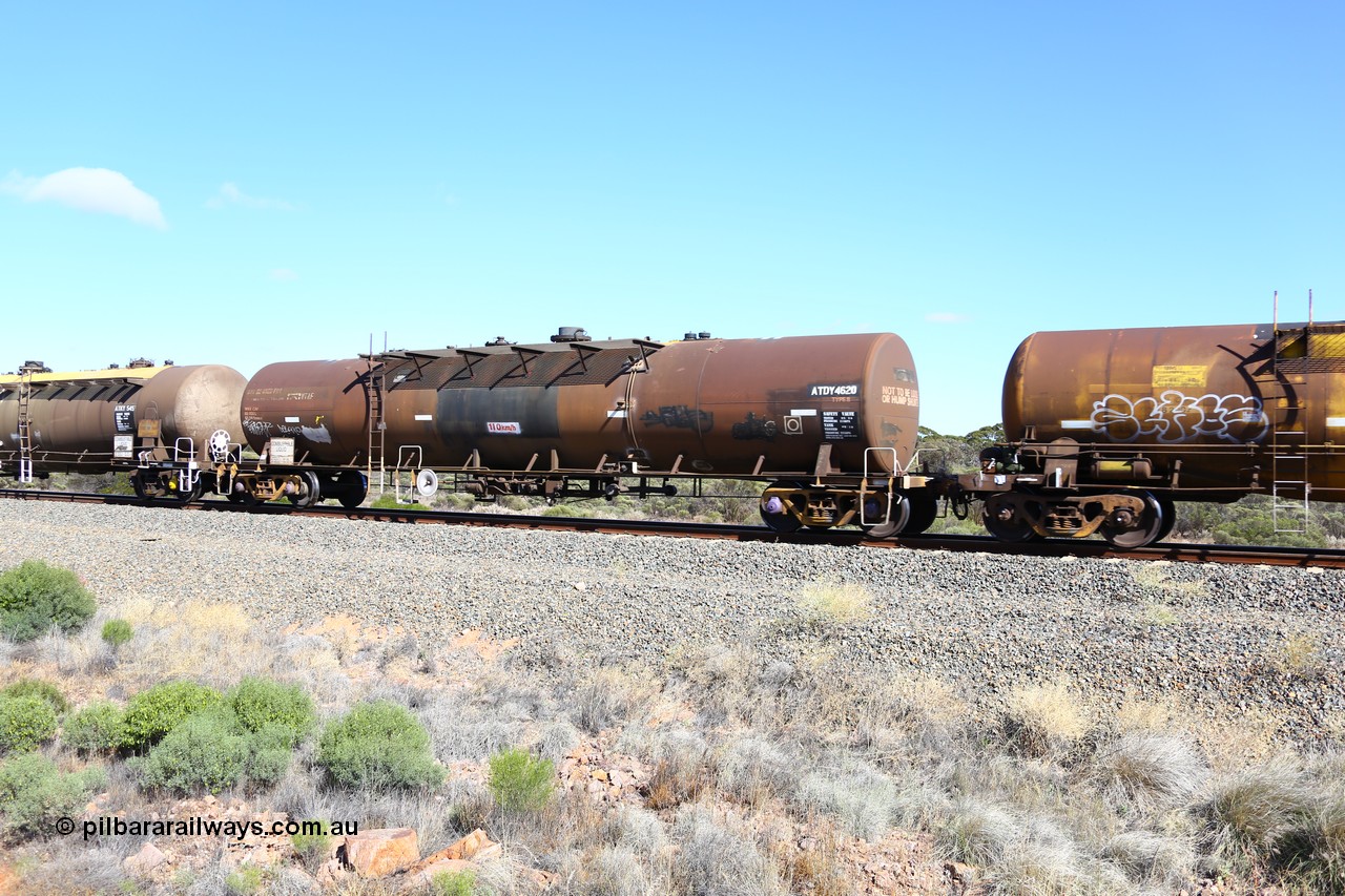 161111 2472
Binduli, Kalgoorlie Freighter train 5025, ATDY 4620 fuel tank waggon, originally an NTAF type tanker, coded WTDY when arrived in WA, in BP service.
Keywords: ATDY-type;ATDY4620;NTAF-type;WTDY-type;