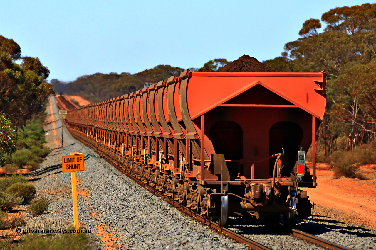 240328 3035
Hampton and Aurizon loaded iron ore train 5041 with a rake of MHLY and MHPY waggons runs south towards Esperance from Koolyanoobing through the dip at the 19 km on the Esperance line. March 28, 2024.
