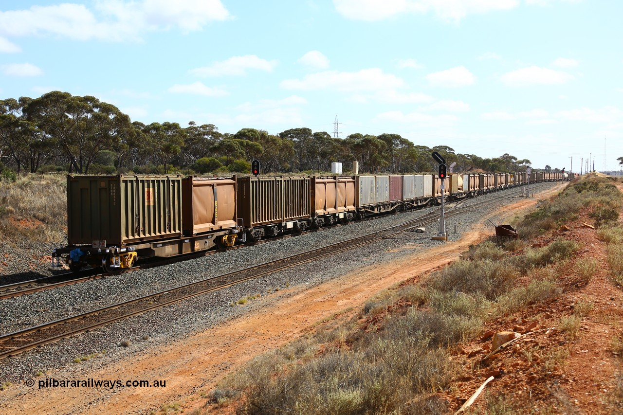 161112 3018
West Kalgoorlie, loaded Malcolm sulphur train 6029, trailing view as it splits signals 8 and 10 and leaves the mainline to enter the yard.
