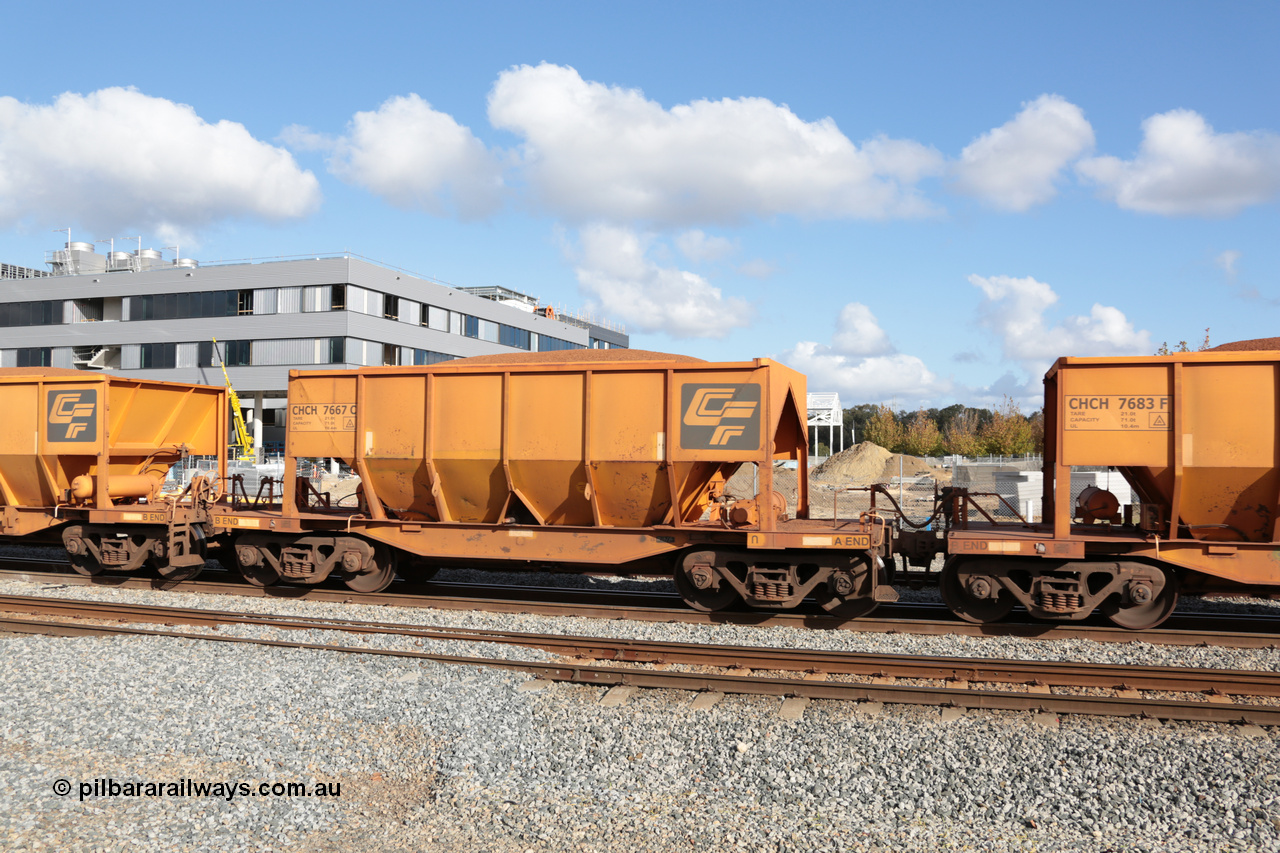 140601 4669
Midland, loaded iron ore train #1030 heading to Kwinana, CFCLA leased CHCH type waggon CHCH 7667 these waggons were rebuilt between 2010 and 2012 by Bluebird Rail Operations SA from former Goldsworthy Mining hopper waggons originally built by Tomlinson WA and Scotts of Ipswich Qld back in the 60's to early 80's. 1st June 2014.
Keywords: CHCH-type;CHCH7667;Bluebird-Rail-Operations-SA;2010/201-67;