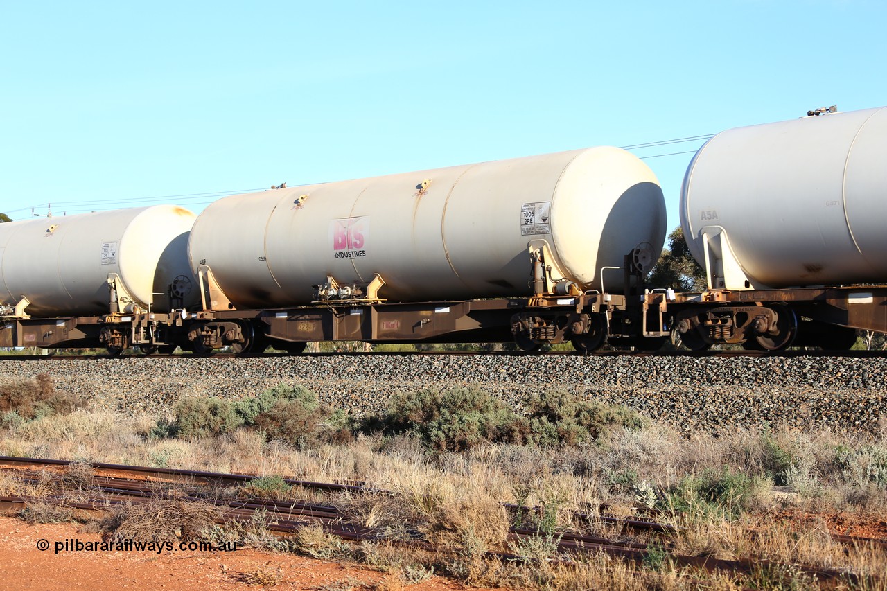160523 2745
West Kalgoorlie, Malcolm freighter, train no. 1029, AZKY type anhydrous ammonia tank waggon AZKY 32241, one of twelve built by Goninan WA in 1998 as type WQK for Murrin Murrin traffic, fitted with Bis Industries anhydrous ammonia tank A3F.
Keywords: AZKY-type;AZKY32241;Goninan-WA;WQK-type;