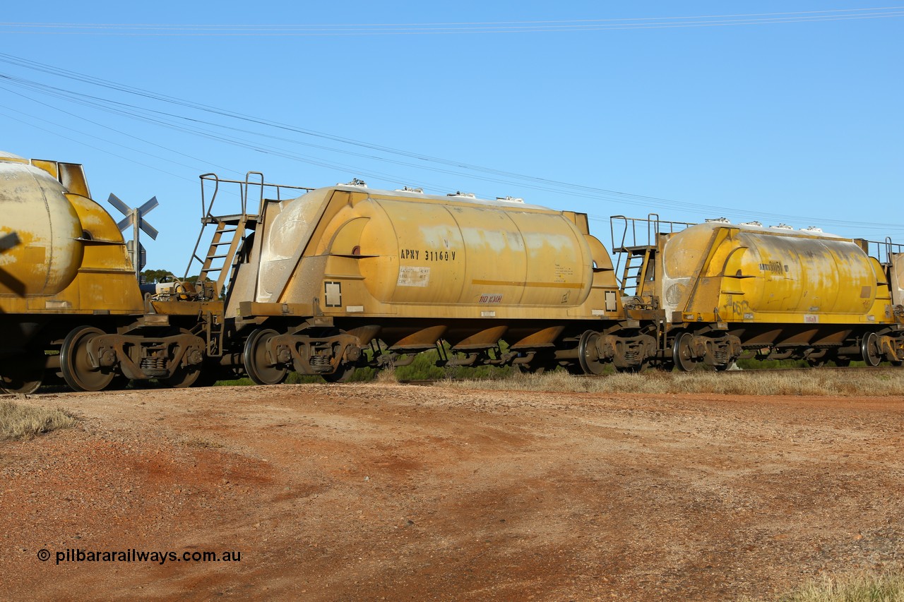 160527 5480
Parkeston, loaded lime and cement shunt train 2C71 from West Kalgoorlie to Parkeston for Cockburn Lime. APNY 31160, one of twelve built by WAGR Midland Workshops in 1974 as WNA type pneumatic discharge nickel concentrate waggon, WAGR built and owned copies of the AE Goodwin built WN waggons for WMC.
Keywords: APNY-type;APNY31160;WAGR-Midland-WS;WNA-type;