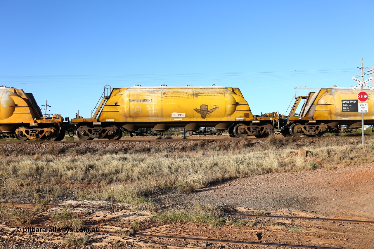 160527 5486
Parkeston, loaded lime and cement shunt train 2C71 from West Kalgoorlie to Parkeston for Cockburn Lime. APNY 31159, one of twelve built by WAGR Midland Workshops in 1974 as WNA type pneumatic discharge nickel concentrate waggon, WAGR built and owned copies of the AE Goodwin built WN waggons for WMC.
Keywords: APNY-type;APNY31159;WAGR-Midland-WS;WNA-type;