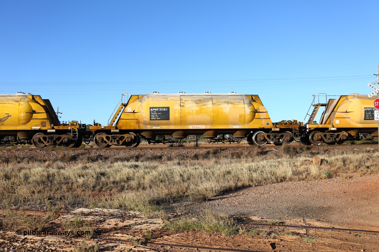 160527 5487
Parkeston, loaded lime and cement shunt train 2C71 from West Kalgoorlie to Parkeston for Cockburn Lime. APNY 31161, one of twelve built by WAGR Midland Workshops in 1974 as WNA type pneumatic discharge nickel concentrate waggon, WAGR built and owned copies of the AE Goodwin built WN waggons for WMC.
Keywords: APNY-type;APNY31161;WAGR-Midland-WS;WNA-type;