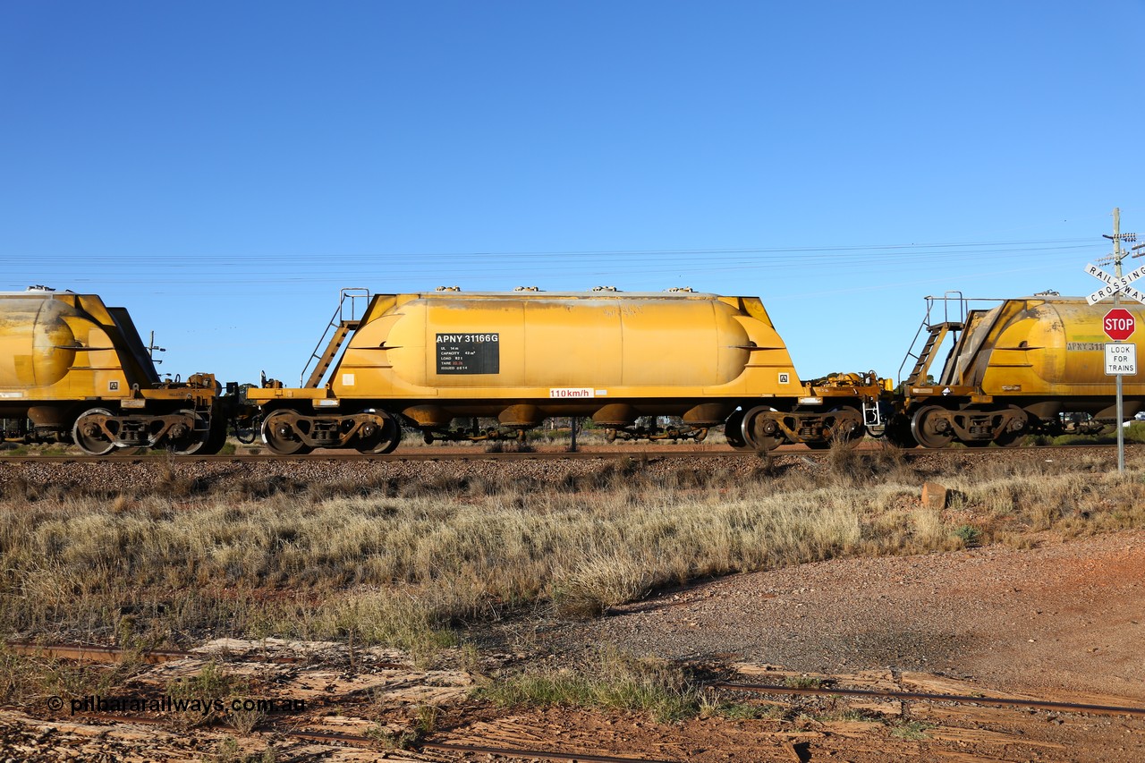 160527 5488
Parkeston, loaded lime and cement shunt train 2C71 from West Kalgoorlie to Parkeston for Cockburn Lime. APNY 31166, one of four built by Westrail Midland Workshops in 1978 as WNA type pneumatic discharge nickel concentrate waggon, WAGR built and owned copies of the AE Goodwin built WN waggons for WMC.
Keywords: APNY-type;APNY31166;Westrail-Midland-WS;WNA-type;