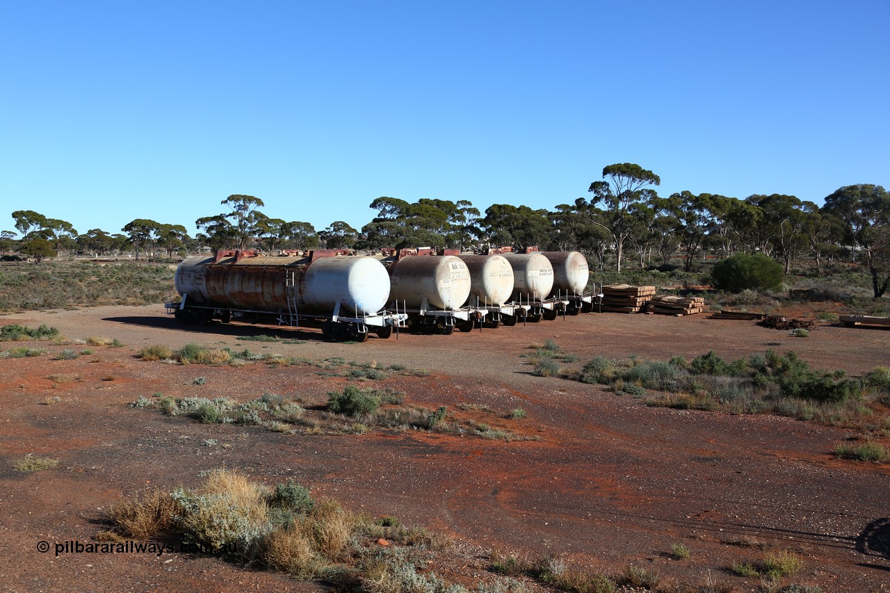 160528 8369
Parkeston, near the quarantine station, stored former Mobil Oil NSW NTAF waggons, from left: NTAF 5454, 5451, 5450, 5453 and 5449. I think these are Indeng Qld built NTAF waggons from a batch of seven such tanks built for Mobil of NSW in 1981 and numbered NTAF 449 to 455.
Keywords: NTAF-type;NTAF5454;NTAF5451;NTAF5450;NTAF5453;NTAF5449;Indeng-Qld;NTAF454;NTAF450;NTAF453;NTAF449;