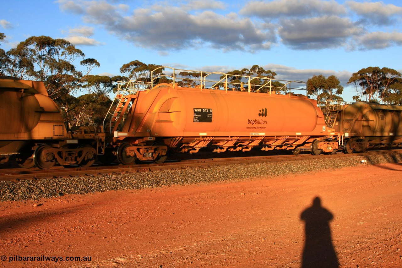 100731 3209
Binduli, WNB 543, pneumatic discharge nickel concentrate waggon, one of six built by Bluebird Rail Services SA in 2010 for BHP Billiton.
Keywords: WNB-type;WNB543;Bluebird-Rail-Operations-SA;
