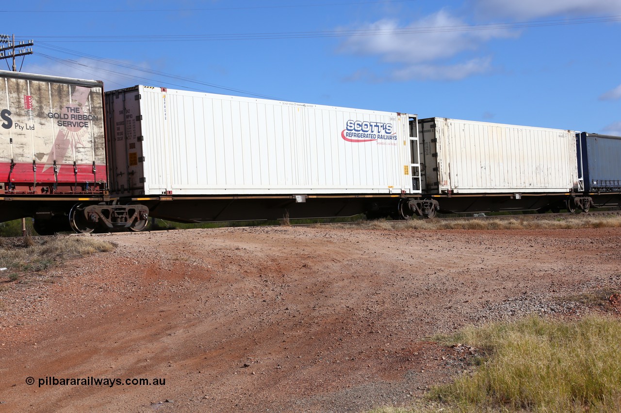 160522 2351
Parkeston, 7MP7 priority service train, RRAY 7190 platform 4 of 5-pack articulated skel waggon set, 1 of 100 built by ABB Engineering NSW 1996-2000, Scott's Refrigerated Railways 46' 6