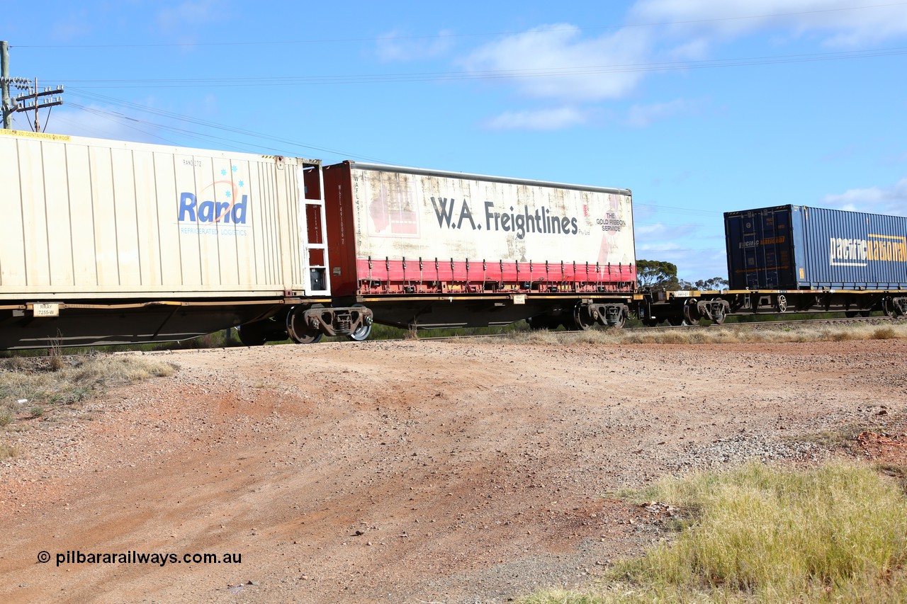 160522 2414
Parkeston, 7MP7 priority service train, RRAY 7255 platform 5 of 5-pack articulated skeletal waggon set, part of one hundred built by ABB Engineering NSW 1996-2000, 40' deck with W.A. Freightlines 40' curtainsider WAFL 491006.
Keywords: RRAY-type;RRAY7255;ABB-Engineering-NSW;