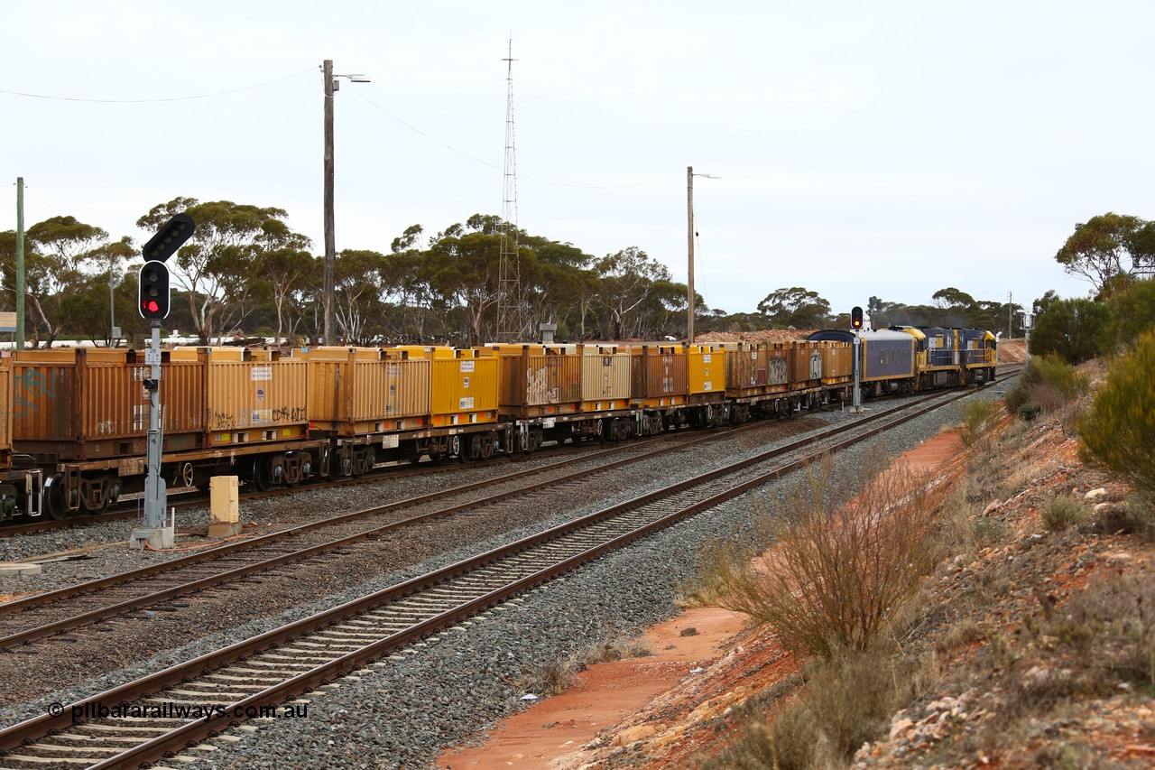 160524 4293
West Kalgoorlie, 1MP2 steel train snakes out of the yard onto the mainline behind a pair of Goninan GE Cv40-9i NR class locomotives with a BRS crew coach and a string of waggons conveying butter boxes of steel coils.
