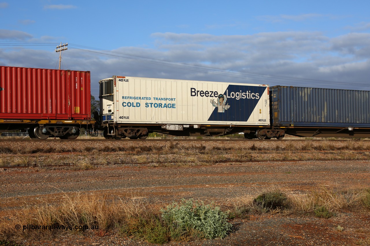 160525 4466
Parkeston, 3PM7 priority service train, RRAY 7190 platform 5 of 5-pack articulated skel waggon set, one of 100 built by ABB Engineering NSW 1996-2000, 40' deck with a 40' PLUS Breeze Logistics reefer BRZC 6.
Keywords: RRAY-type;RRAY7190;ABB-Engineering-NSW;
