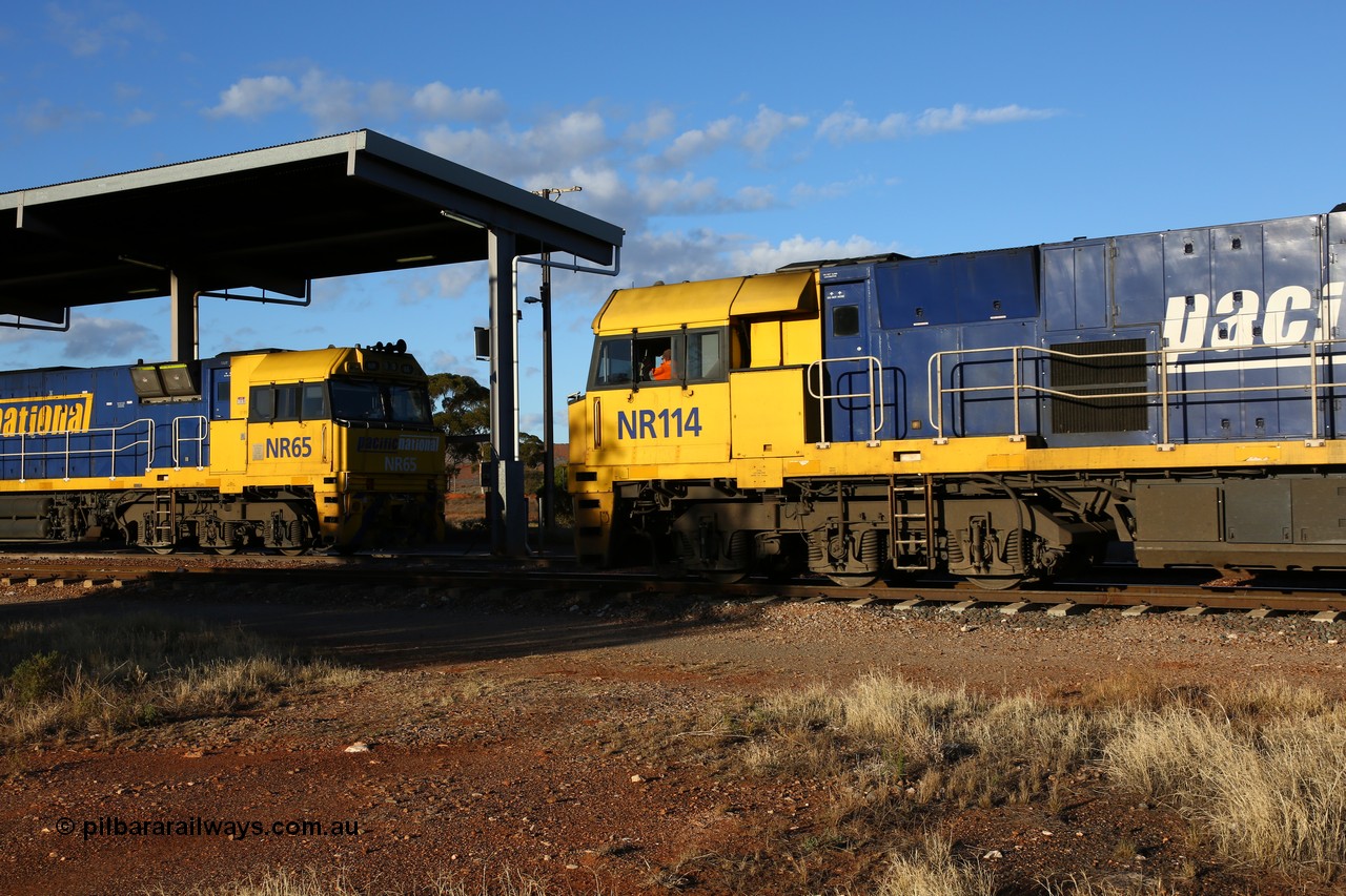 160528 8313
Parkeston, priority service 6PS7 led by Goninan built GE model Cv40-9i NR class unit NR 114 serial 7250-10/97-311 crosses sister unit NR 65 serial 7250-11/96-267 leading train 5SP5.
Keywords: NR-class;NR114;Goninan;GE;Cv40-9i;7250-10/97-311;NR65;7250-11/96-267;