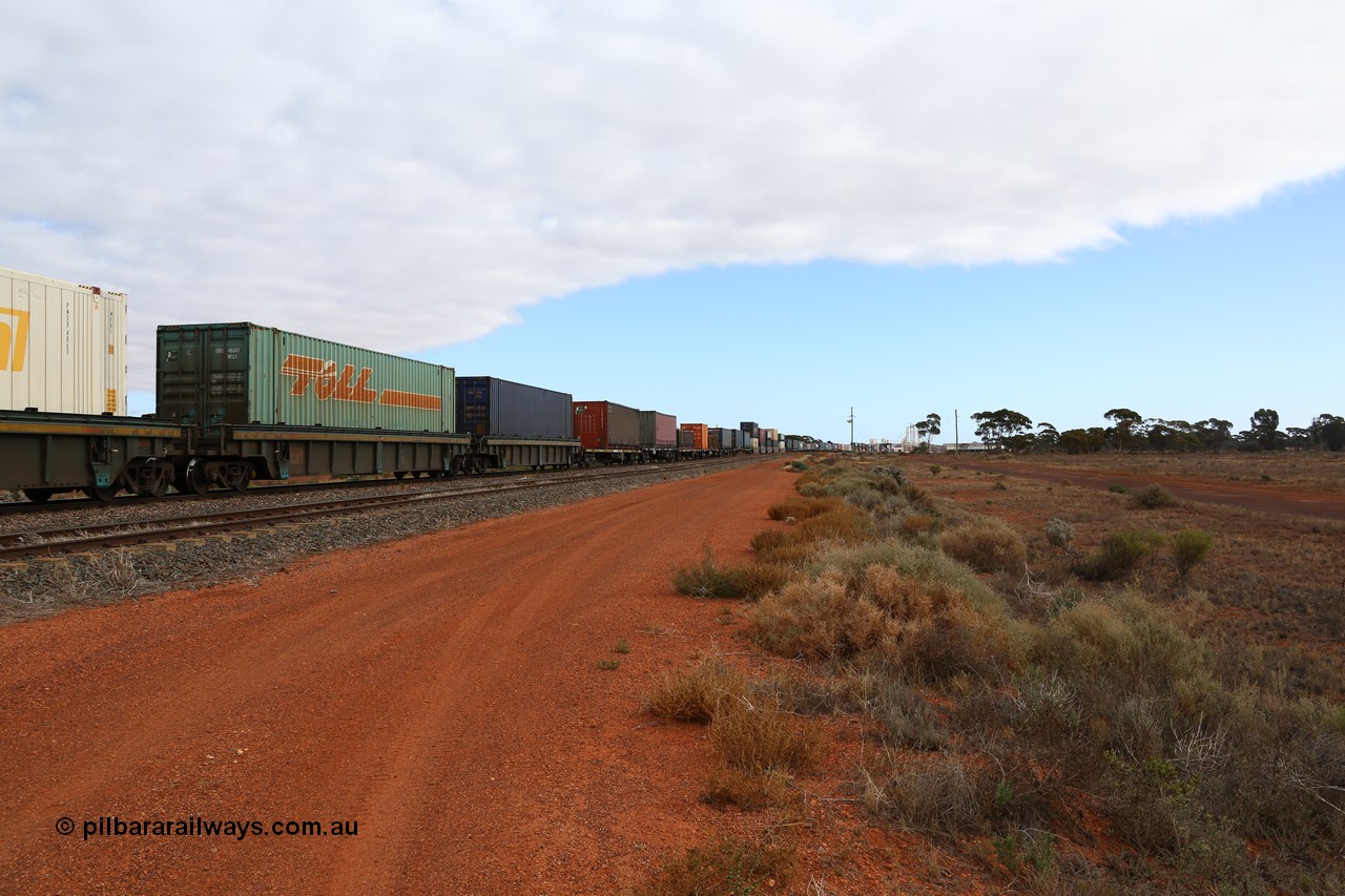 160529 8809
Parkeston, 6MP4 intermodal train, view looking towards the front from RRXY 8 5-pack well waggon set, one of eleven built by Bradken Qld in 2002 for Toll from a Williams-Worley.
Keywords: RRXY-type;RRXY8;Williams-Worley;Bradken-Rail-Qld;