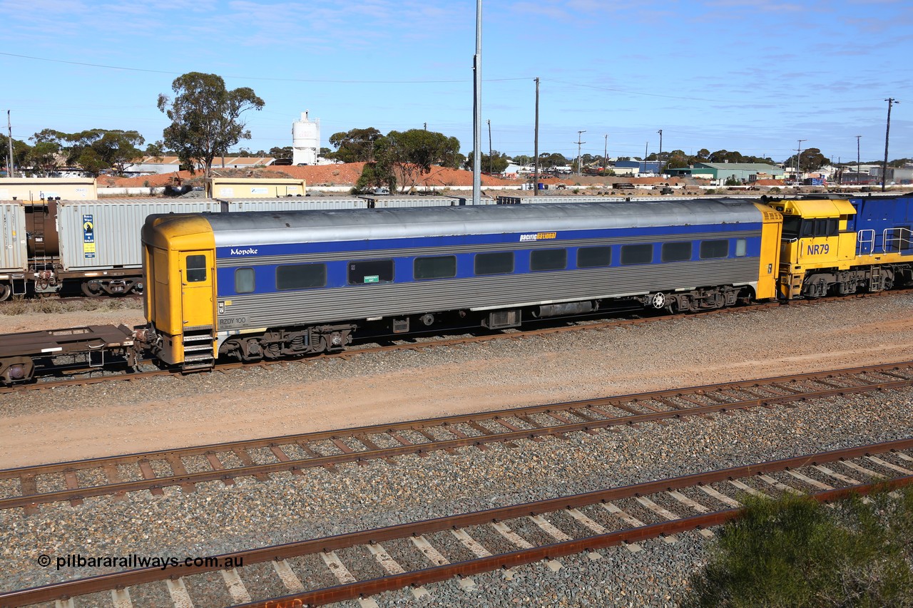 160531 9894
West Kalgoorlie, 1MP2 steel train crew accommodation coach RZDY 100 'MOPOKE', started life as a Bluebird railcar driving trailer built by South Australian Railways Islington Workshops in 1955 as Mopoke. In 1986 coded 100, then to 107, in 2001 renumbered 100 and named 'Cabernet'. Converted to crew car for Pacific National as RZDY in 2006 at Islington workshops.
Keywords: RZDY-type;RZDY100;SAR-Islington-WS;Bluebird;Mopoke;Cabernet;