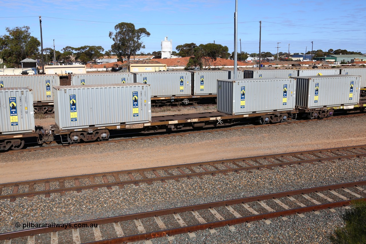 160531 9901
West Kalgoorlie, 1MP2 steel train, container waggon RQGY 34498, one of a hundred built by Tulloch Ltd NSW as OCY type, recoded to NQOY, with two 20' Royal Wolf containers, RWMC 815890 and RWMC 815936.
Keywords: RQGY-type;RQGY34498;Tulloch-Ltd-NSW;OCY-type;NQOY-type;