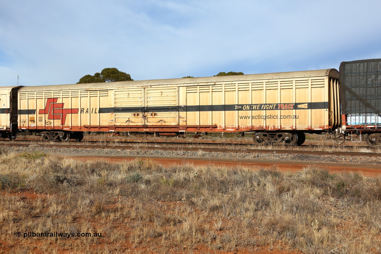 160523 2843
Parkeston, SCT train 7GP1 which operates from Parkes NSW (Goobang Junction) to Perth, ABSY type van ABSY 4431, one of a batch of fifty made by Comeng WA as VFX type 75' covered vans 1977, recoded to ABFX type, seen here with the silver corrugated roof fitted when Gemco WA upgraded it to ABSY type.
Keywords: ABSY-type;ABSY4431;Comeng-WA;VFX-type;ABFX-type;