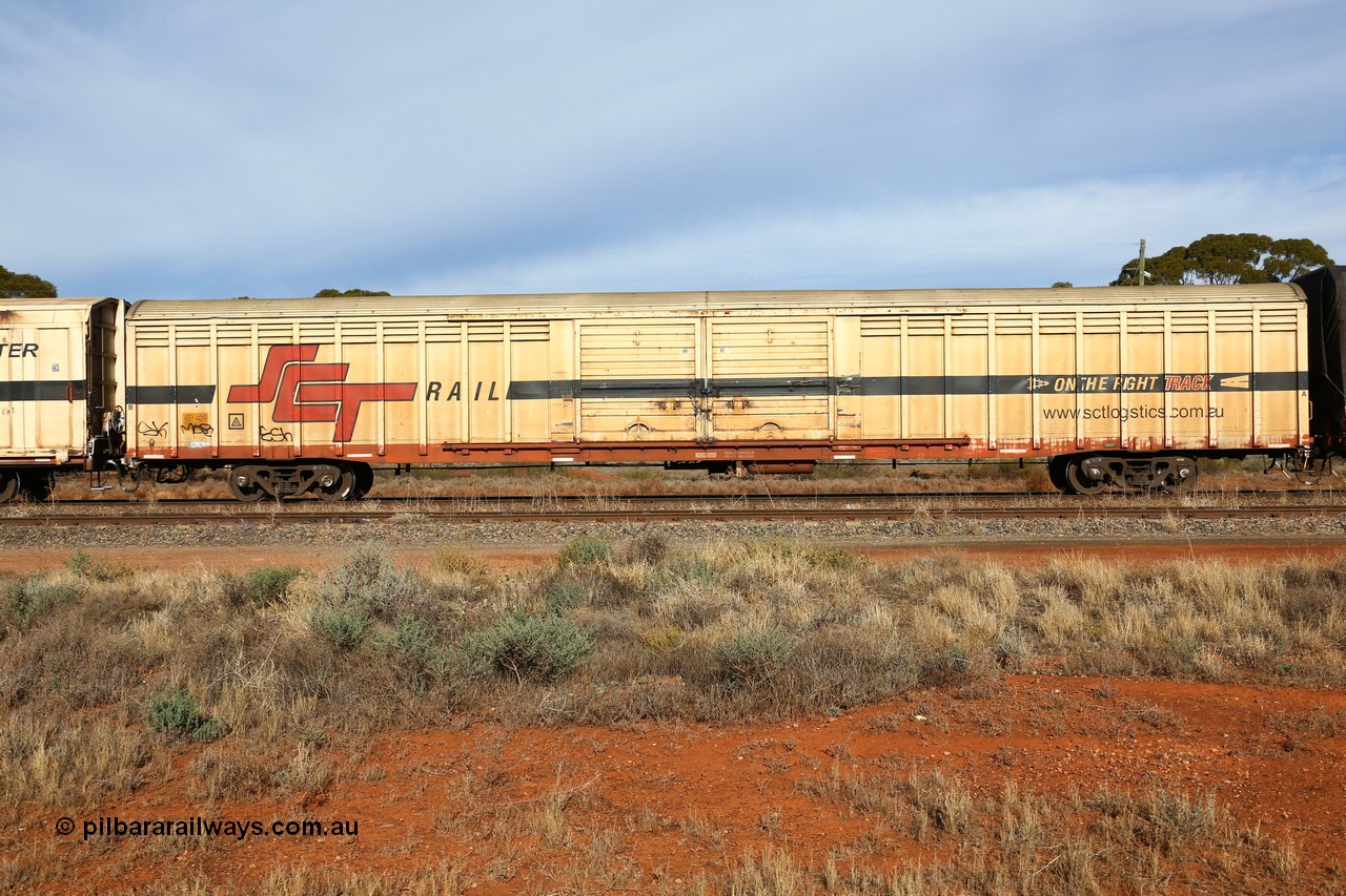 160523 2845
Parkeston, SCT train 7GP1 which operates from Parkes NSW (Goobang Junction) to Perth, ABSY type van ABSY 4431, one of a batch of fifty made by Comeng WA as VFX type 75' covered vans 1977, recoded to ABFX type, seen here with the silver corrugated roof fitted when Gemco WA upgraded it to ABSY type.
Keywords: ABSY-type;ABSY4431;Comeng-WA;VFX-type;ABFX-type;