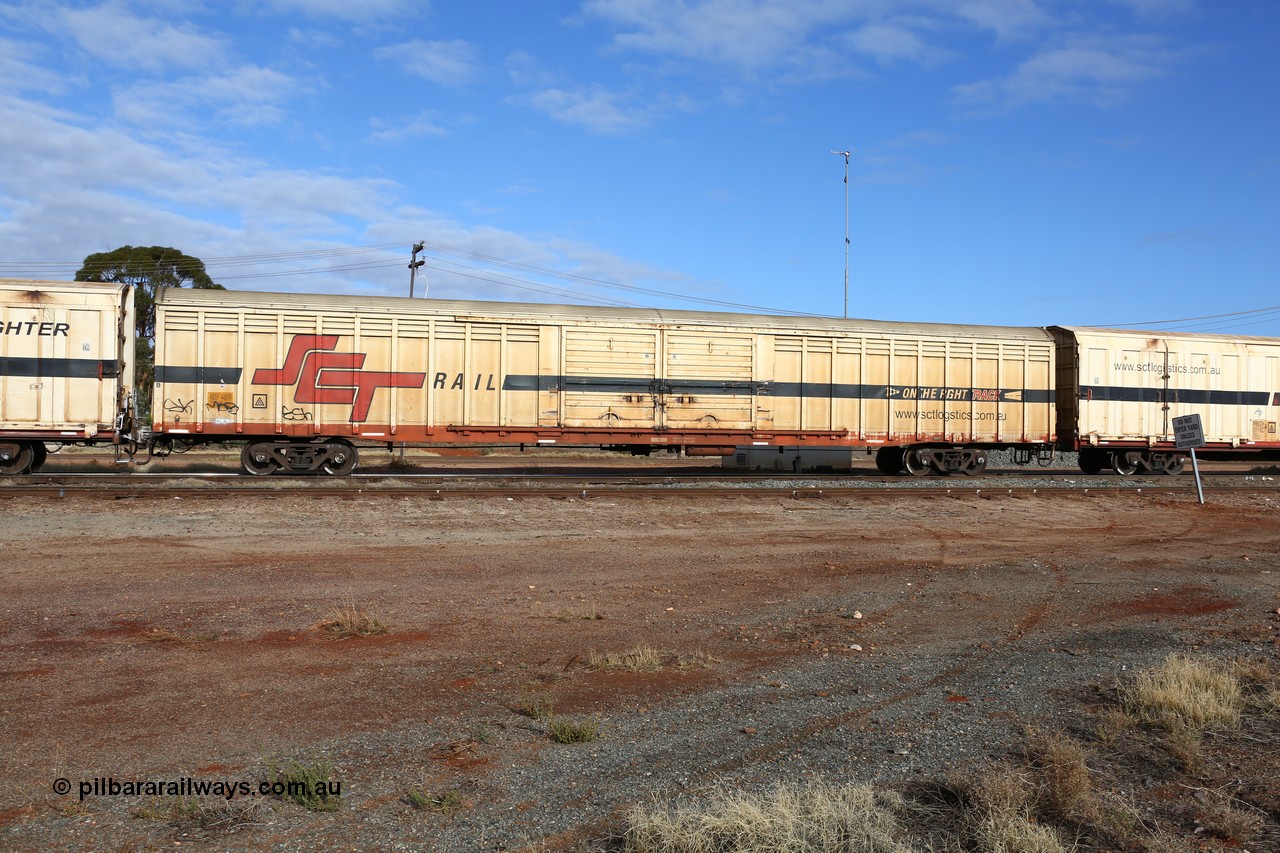 160525 4618
Parkeston, SCT train 3PG1 which operates from Perth to Parkes NSW (Goobang Junction), ABSY type van ABSY 4431, one of a batch of fifty made by Comeng WA as VFX type 75' covered vans 1977, recoded to ABFX type, seen here with the silver corrugated roof fitted when Gemco WA upgraded it to ABSY type.
Keywords: ABSY-type;ABSY4431;Comeng-WA;VFX-type;ABFX-type;