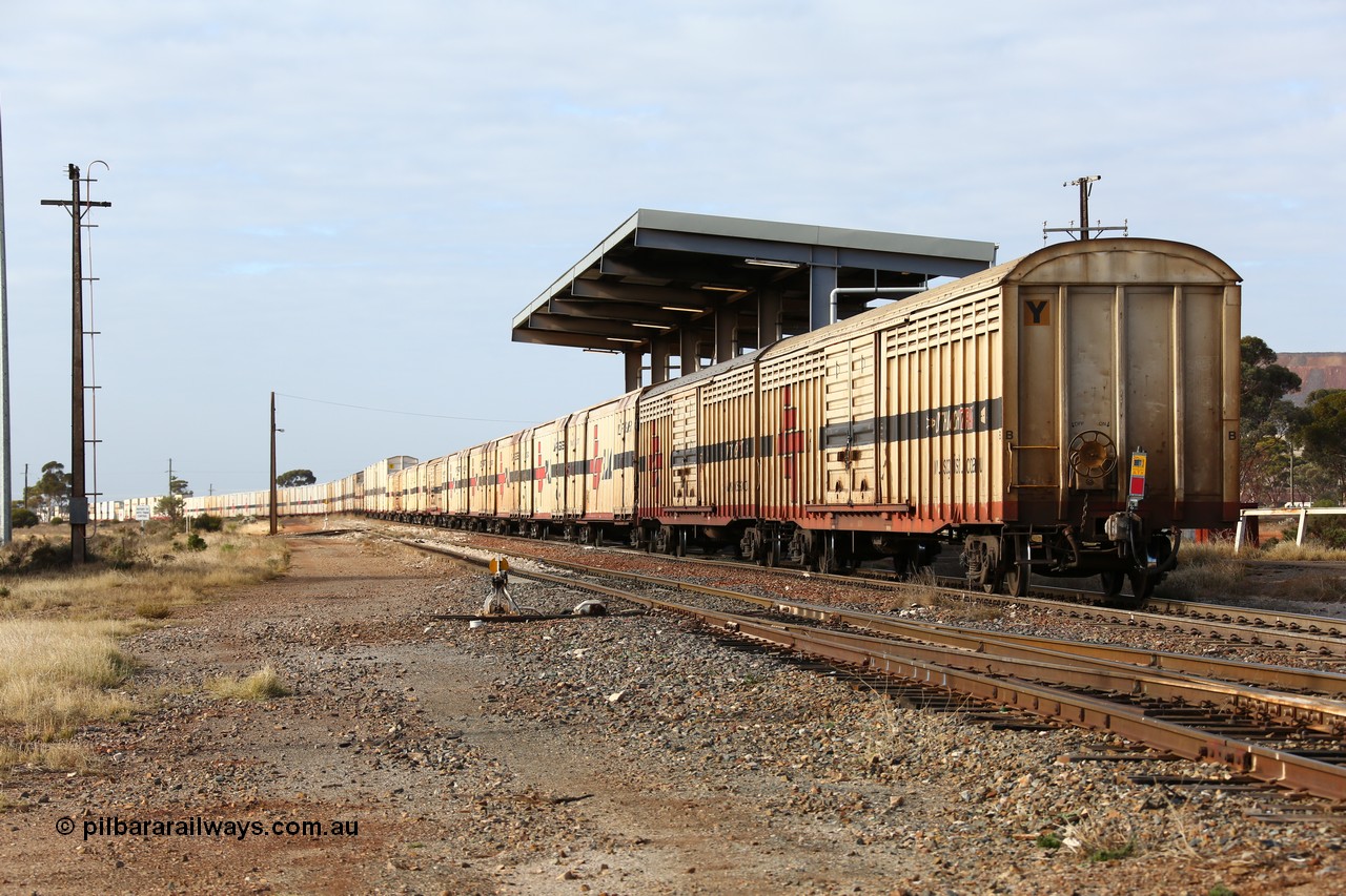 160525 4629
Parkeston, SCT train 3PG1 which operates from Perth to Parkes NSW (Goobang Junction), looking east from the rear with ABSY type ABSY 3089 covered van, originally built by Comeng WA in 1977 for Commonwealth Railways as VFX type, recoded to ABFX and ABFY before conversion by Gemco WA to ABSY.
Keywords: ABSY-type;ABSY3089;Comeng-WA;VFX-type;ABFY-type;
