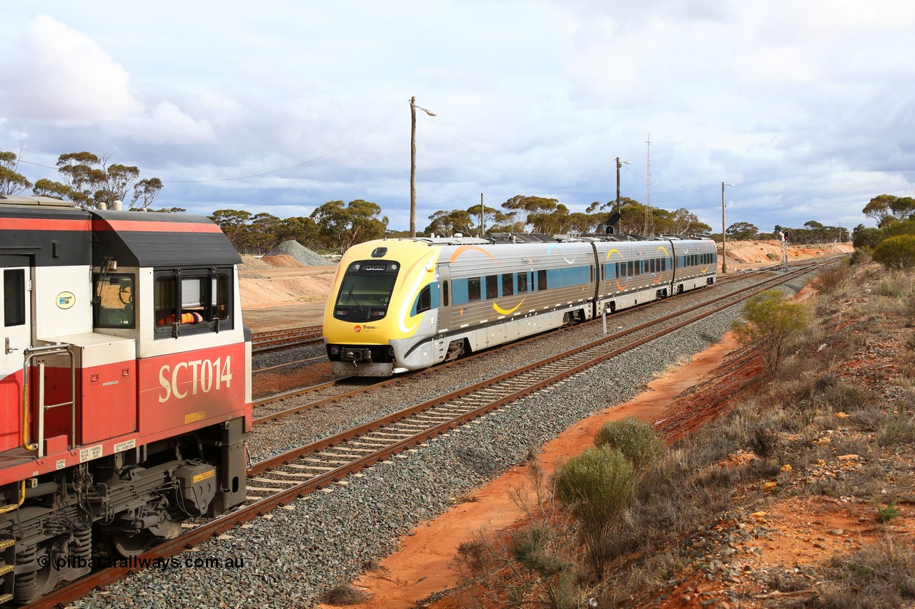 160526 5287
West Kalgoorlie, SCT train 3MP9 operating from Melbourne to Perth, with 76 waggons for 5709.8 tonnes and 1795 metres with EDI Downer built EMD model GT46C-ACe unit SCT 014 serial 08-1738 on the point holds the mainline as the Kalgoorlie bound Prospector three car set led by WDA 003 passes on the loop.
Keywords: SCT-class;SCT014;EDI-Downer;EMD;GT46C-ACe;08-1738;