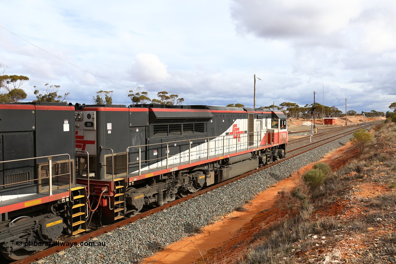 160526 5288
West Kalgoorlie, SCT train 3MP9 operating from Melbourne to Perth, with 76 waggons for 5709.8 tonnes and 1795 metres with EDI Downer built EMD model GT46C-ACe unit SCT 014 serial 08-1738 on the point with sister unit SCT 012 as they hold the mainline.
Keywords: SCT-class;SCT014;EDI-Downer;EMD;GT46C-ACe;08-1738;
